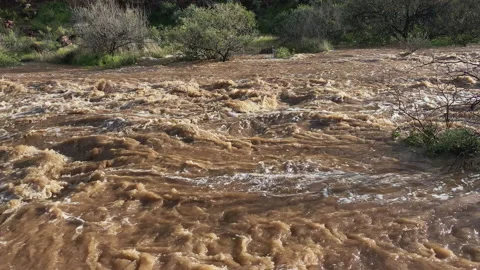 Flash flood after a storm in the mountains of Tonto national Forest Stock Footage 212770226