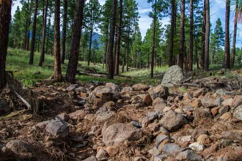 Flash flood damage in the mountains Stock Photos