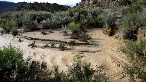 Flash flood in a desert landscape after heavy rain. Stock-Footage 79688190