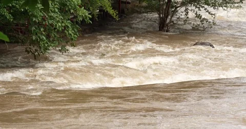 Flash flood flows after a heavy rainstorm. Stock Footage 281059593