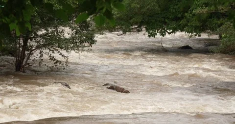 Flash flood flows after a heavy rainstorm. Stock Footage 284913855