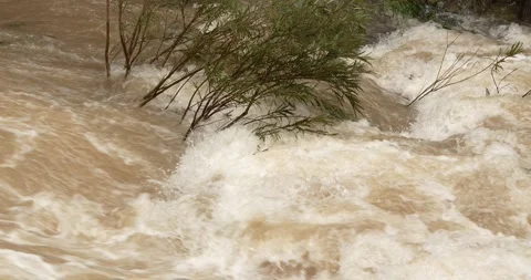 Flash flood flows after a heavy rainstorm. Stock Footage 285851101
