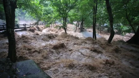 Flash flood flows turnovers Video stock 252497407