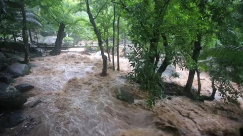 Flash flood flows turnovers Stock Footage 252497412