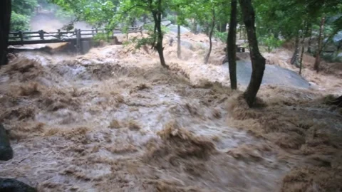 Flash flood flows turnovers Stock Footage 252497415