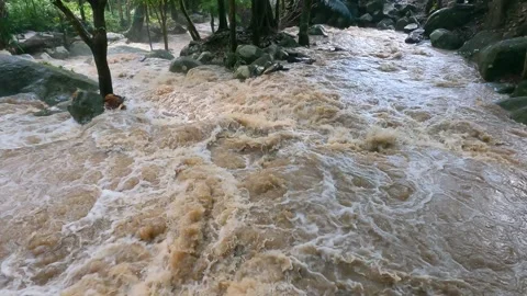 Flash flood flows turnovers Stock Footage 252958500
