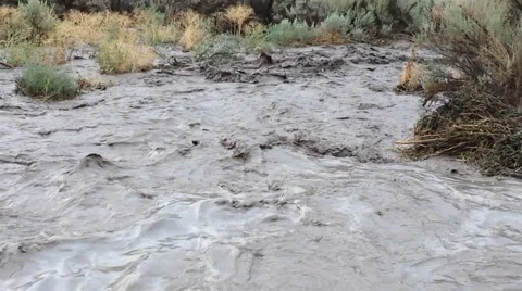 Flash flood-muddy torrent washes debris downstream Stock Footage 61214491