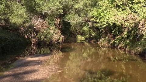 Flash Flood on a picnic day. Stock Footage 78799305
