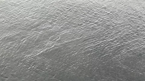 Flash flood rain water covers a roadway Video stock 337506710