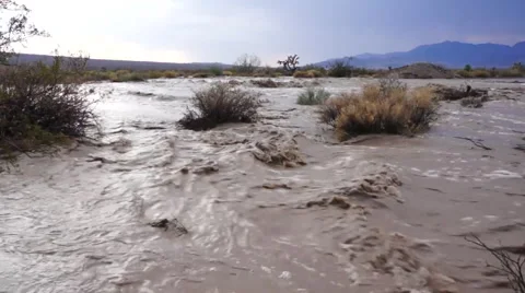 Flash Flood Waters in the Desert Stock Footage