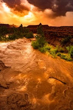 Flash Flood Waters flows through the Canyonlands Needle District Utah USA Stock Photos