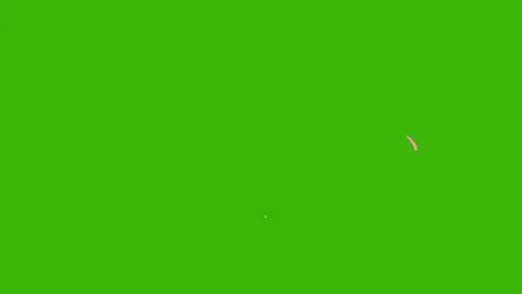 Flash FX Funny Lines Stock Footage 297836800
