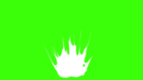 Flash FX Glitter Blast Animation - Spark Magic on Green Screen Stock Footage 313740698
