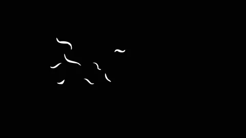 Flash FX Lyric Elements Stock Footage 87026413