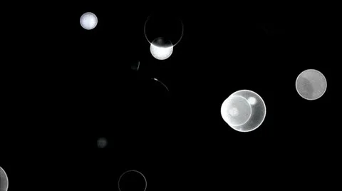 Flash light 25 Stock Footage 25249356