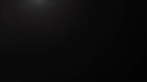 Flash light from the camera. Stock Footage 129721976