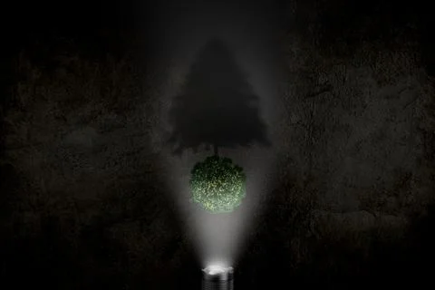 Flash light christmas tree shadow Holiday background. Stock Photos