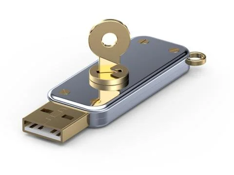 Flash memory Illustrazione stock
