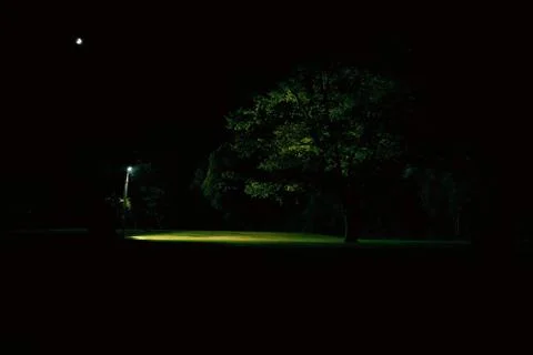 Flash in the night Stock Photos