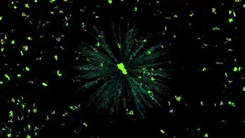 Flash Particles and Lines. Video stock 295944540