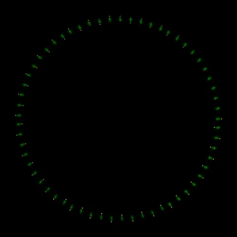 Flash ring 2 Stock Footage 95620035