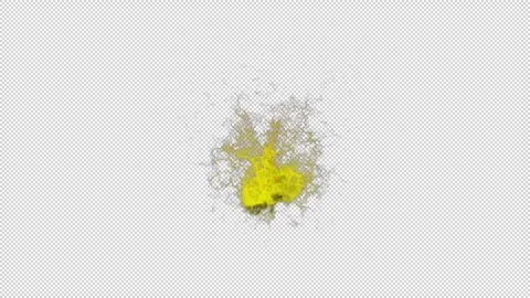 Flash twelve Stock Footage 261381728