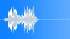 Flash Whoosh Swoosh 2 Sound Effect