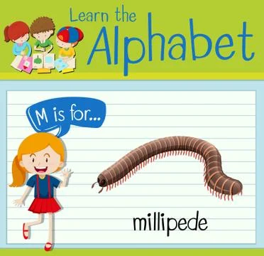 Flashcard letter M is for millipede Stock Illustration