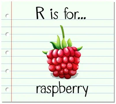 Flashcard letter R is for raspberry Stock Illustration
