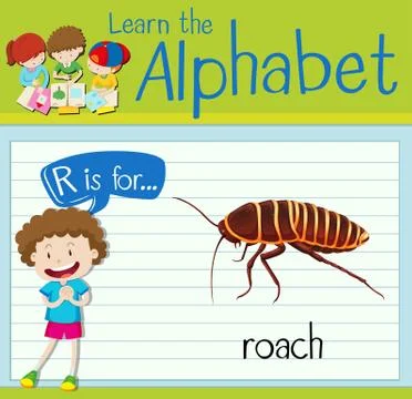 Flashcard letter R is for roach Stock Illustration