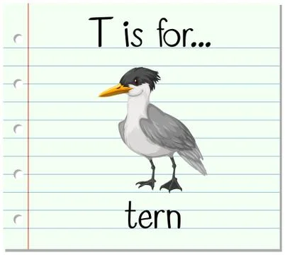Flashcard letter T is for tern Stock Illustration