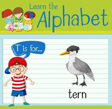 Flashcard letter T is for tern Stock Illustration