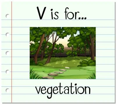 Flashcard letter V is for vegetation Ilustração Stock