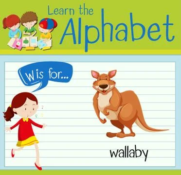 Flashcard letter W is for wallaby Stock Illustration