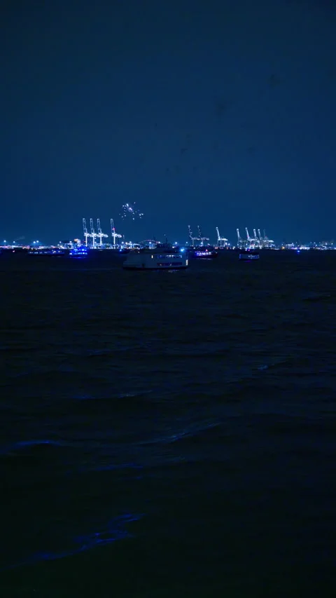 Flashes of firework light the dark waterscape. Independence day celebration in Stock Footage 334601707