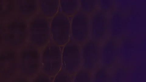 Flashing Color Changing Honeycomb Background Stock Footage 255125095