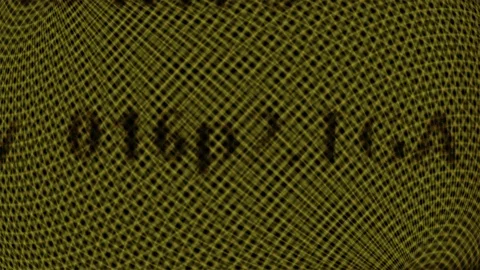 Flashing Error Text 24 Stock Footage 85808807