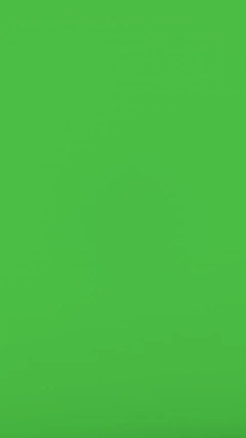 Flashing green and black screen strobe light effect background seamless loop. Stock Footage 329402919