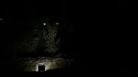 Flashing Ground Light Stock Footage 77994428