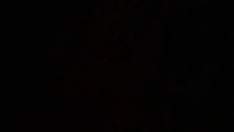 Flashing Light Exposing Tree Branches 스톡 동영상 72706583