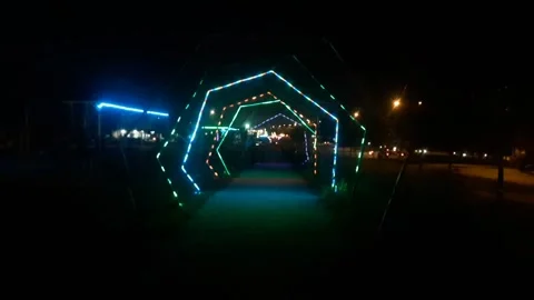Flashing light garden Stock Footage 324356092