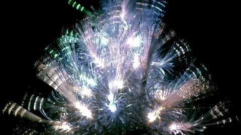 Flashing Light Tree on Black Vídeos de archivo 100699483