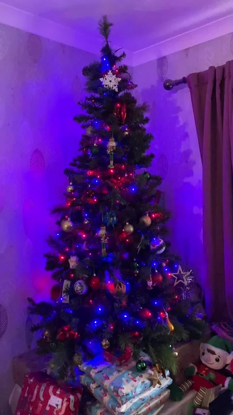 Flashing lights on Christmas Tree Stock Footage 227738521