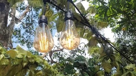 Flashing lights in the park Stock Footage 331624432