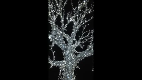 Flashing lights on the tree at Christmas Stock Footage 324622959