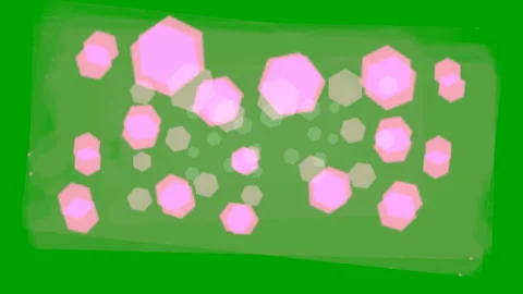 Flashing Polygon Shapes on Green Screen:  Loop + Matte Stock Footage 146817903