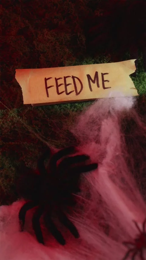 Flashing red light over Feed Me sign on spooky moss 스톡 동영상 342423120