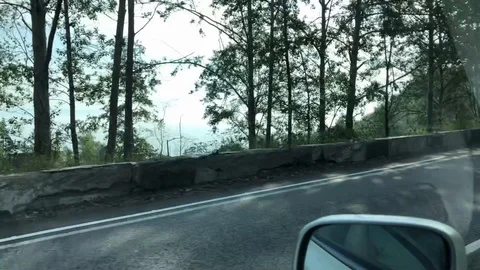 Flashing trees view from the passenger window of the car Stock Footage 124791538