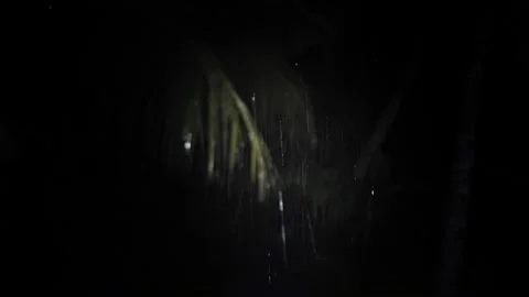 Flashlight in the dark from the first person, palm trees night in the rain Stock Footage 202286577
