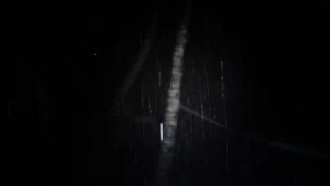 Flashlight in the dark from the first person, palm trees night in the rain Stock Footage 202286586